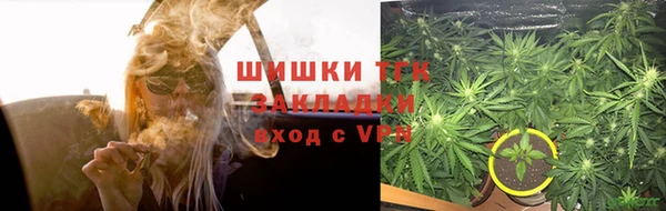 ПСИЛОЦИБИНОВЫЕ ГРИБЫ Навашино