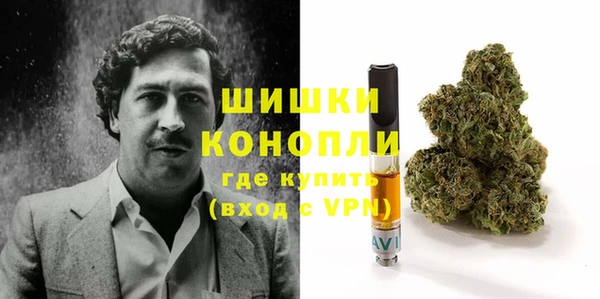 ПСИЛОЦИБИНОВЫЕ ГРИБЫ Навашино